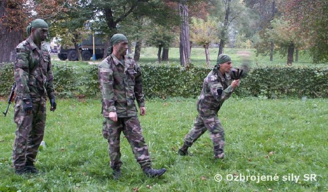 PROFESIONÁLI SA PREZENTOVALI