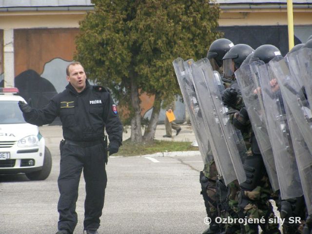 Výcvik činnosti poriadkovej jednotky