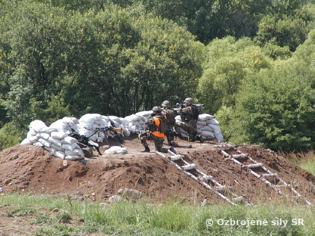 Strážna jednotka cvičila na Lešti