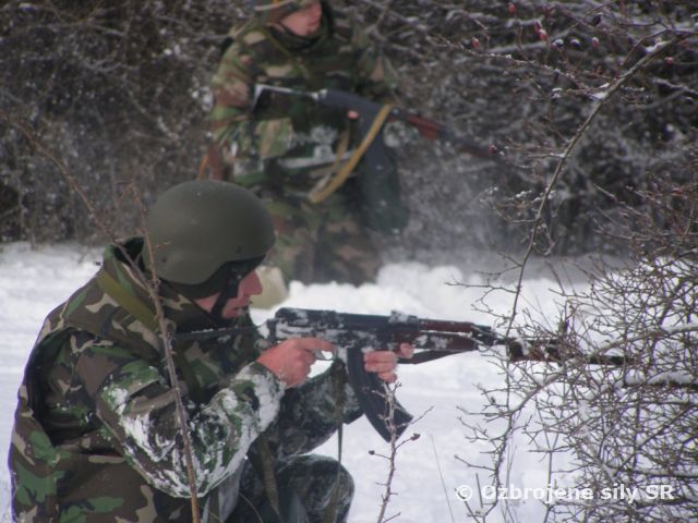 Kurz Základných bojových zručností