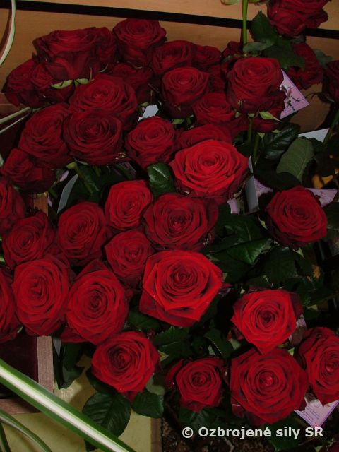 KVET AKO SYMBOL VĎAKY