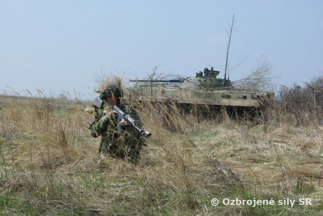 Kontrola výcviku 11. mechanizovaného práporu