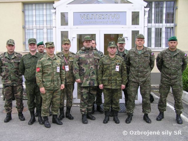 Inšpekcia Ruskej federácie podľa Viedenského dokumentu