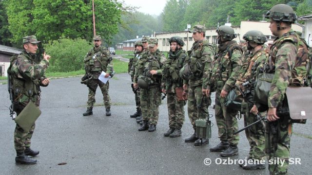 Vyvedenie NSE 11.mprsk do VVP Lešť