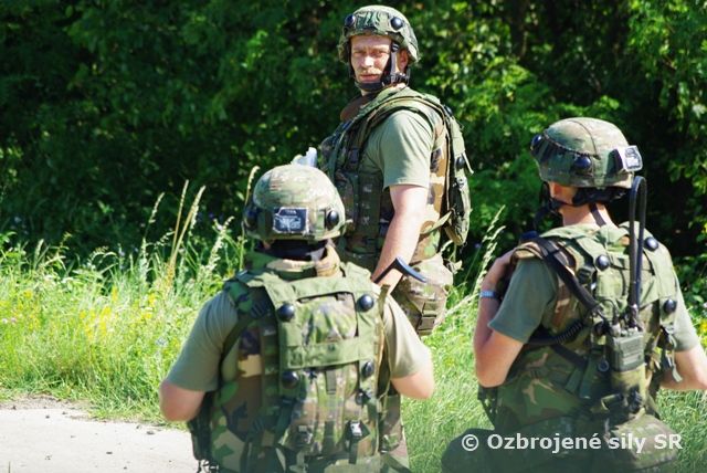 Taktické cvičenie s bojovou streľbou Safety perimeter 2010