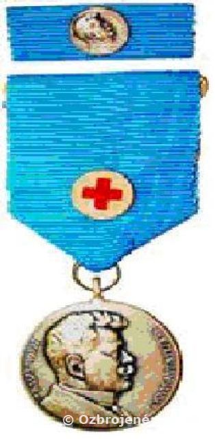 OCENENIE BEZPRÍSPEVKOVÝCH DARCOV KRVI