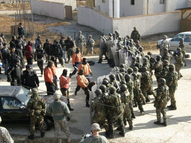 Výcvik jednotky 12. mechanizovaného práporu v Hohenfelse v Nemecku