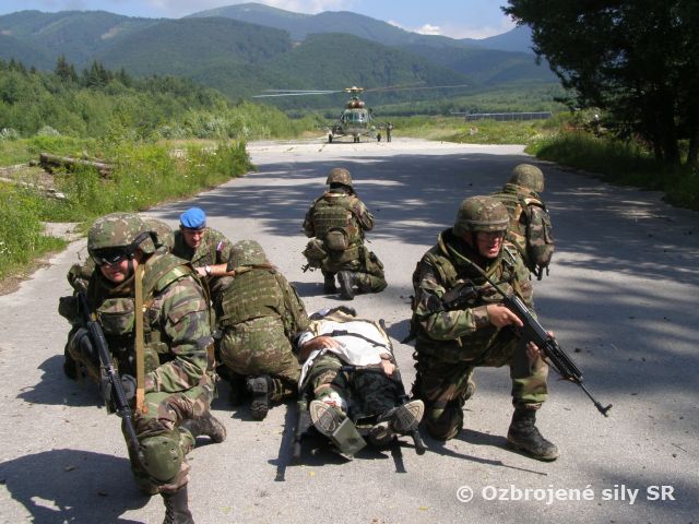 CULMEX - záverečné cvičenie OMLT