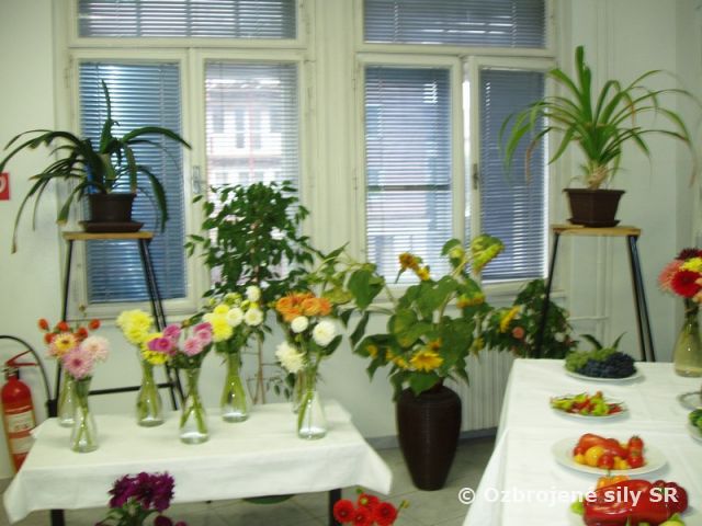 Pozvánka na výstavy v Posádkovom klube Bratislava