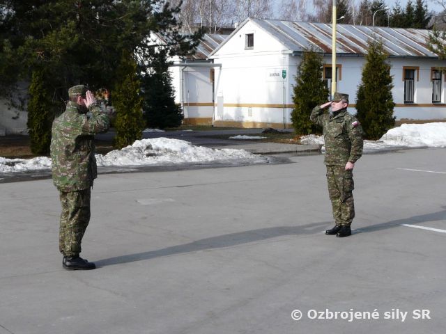 Komplexná kontrola samohybného delostreleckého oddielu