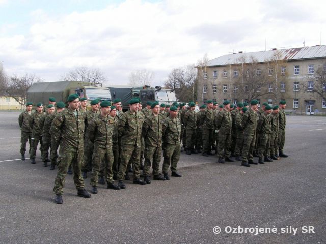 Nácvik aktivácie Síl rýchlej reakcie 2012