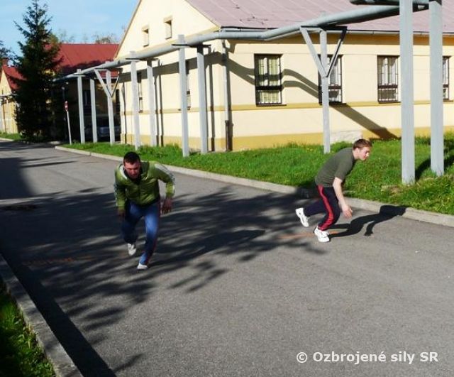 Ročné preskúšanie z pohybovej výkonnosti