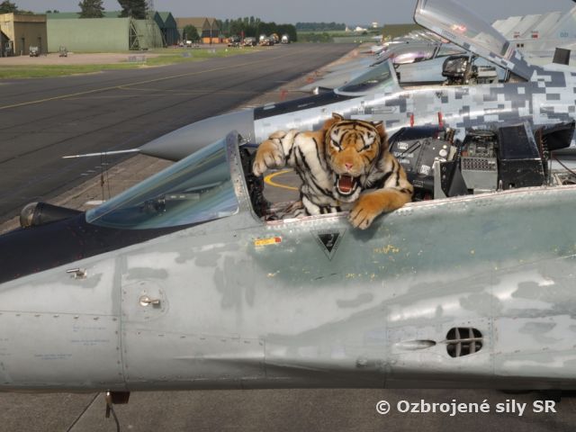 Predstavujeme vojenských "Tigrov"