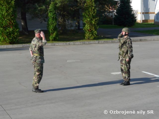 Poradová prehliadka 2.palebnej batérie 