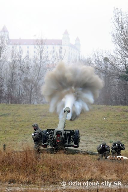 Novoročné slávnostné salvy