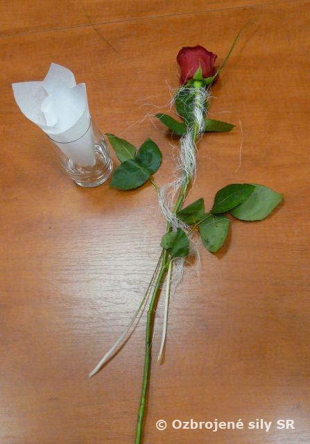 Delostrelci si pripomenuli Medzinárodný deň žien