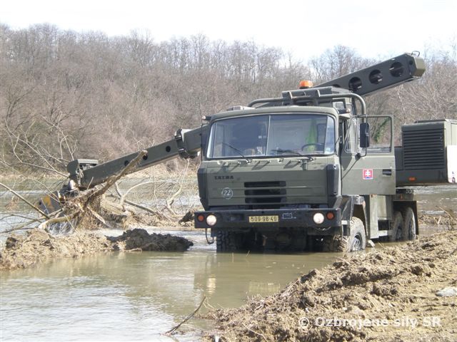 Cvičenie ženijnej podpory SMART ANT 2013