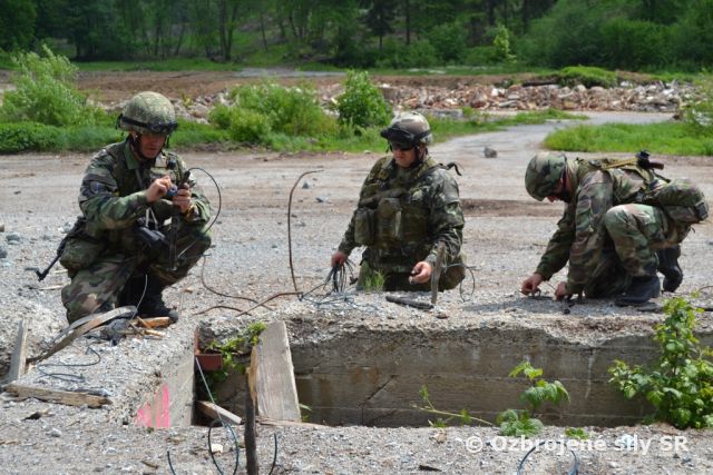 Plnenie výcvikových úloh žpr PS