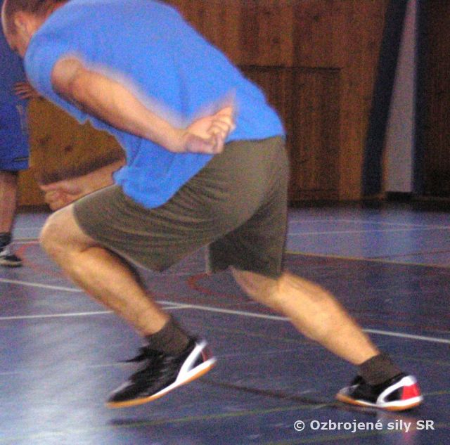 Preskúšanie profesionálov z pohybovej výkonnosti