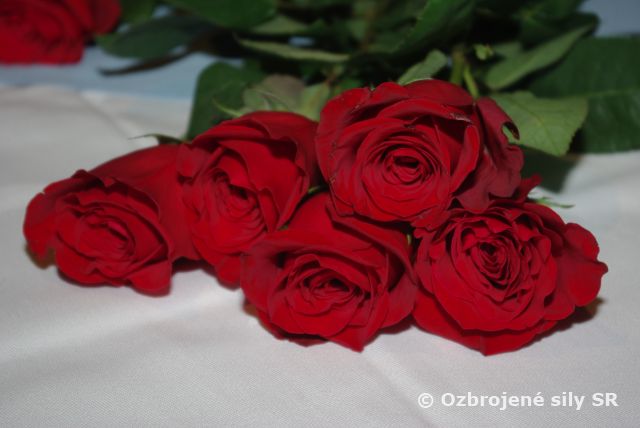 Medzinárodný deň žien vo vzdušných silách