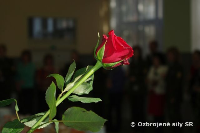 Uctenie si žien pri príležitosti ich medzinárodného sviatku