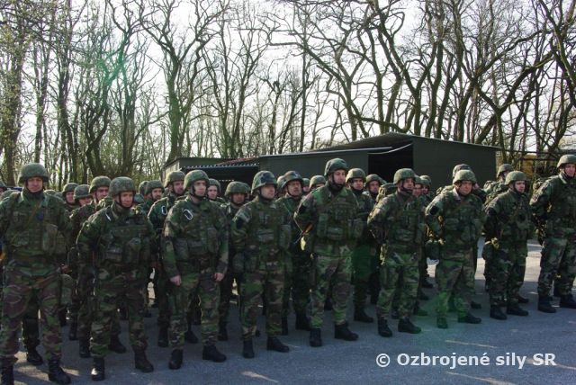 Preverenie profesionality v bojových zručnostiach