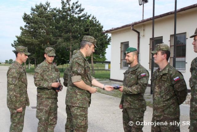 Slávnostný nástup pri príležitosti 69. výročia víťazstva nad fašizmom