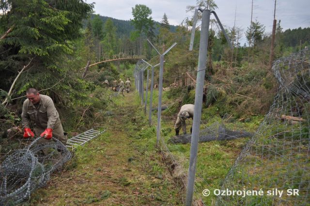 Odstraňovanie následkov Tatranskej kalamity II. 