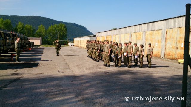 Poradová prehliadka pred vyvedením do VP VO Lešť