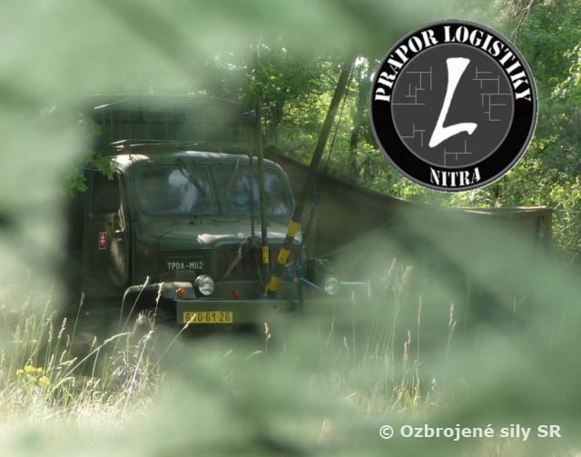 Tropické teploty neprekážali