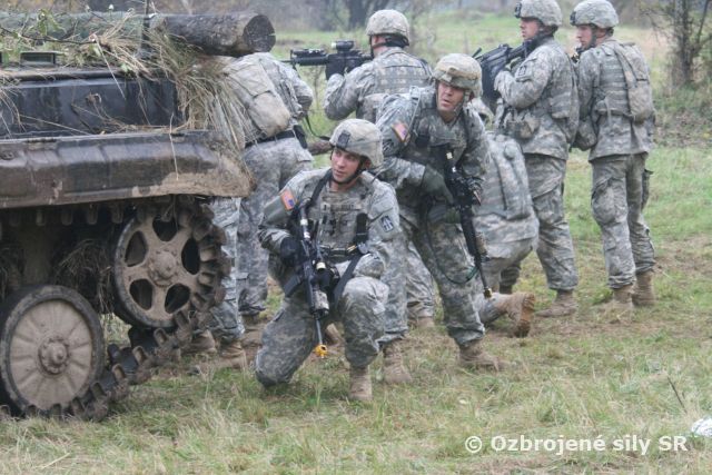 Slovensko – americká vyčisťovacia operácia