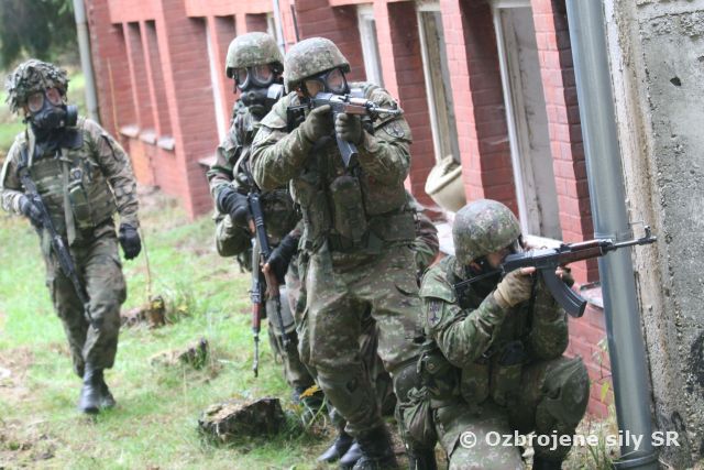 Slovenská rota s poľskými Rosomakmi