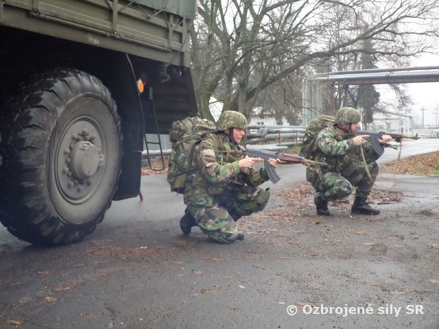 Previerka základných bojových zručností