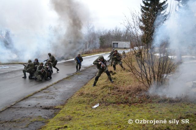 Kurz boja z blízka na Lešti