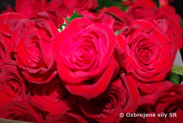 Medzinárodný deň žien vo vzdušných silách