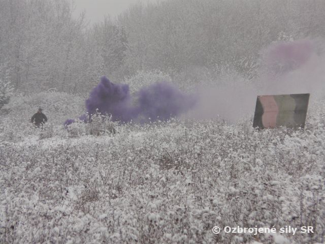 Príprava kordinátorov palebnej podpory