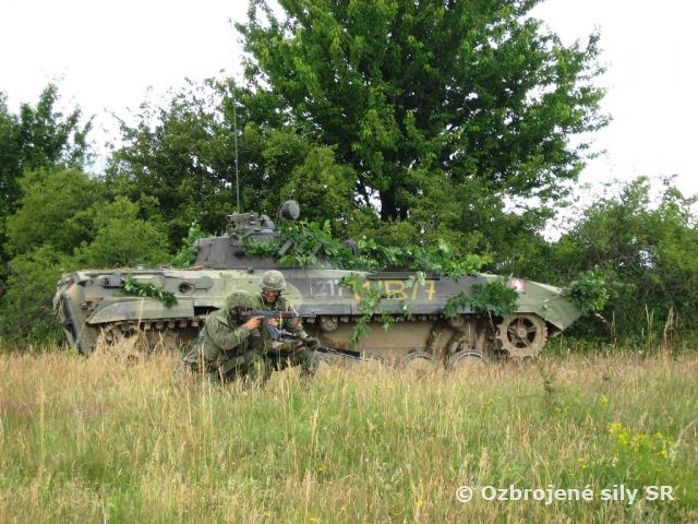 Kontroly zladenosti družstiev s bojovou streľbou na Lešti