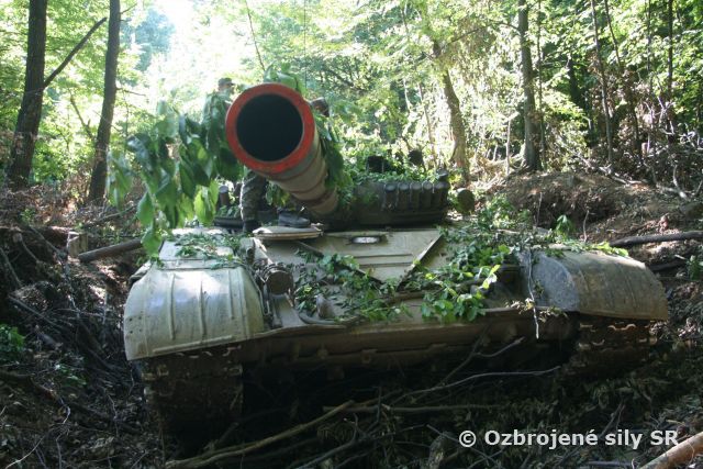 Vojaci piatich armád cvičia na Lešti