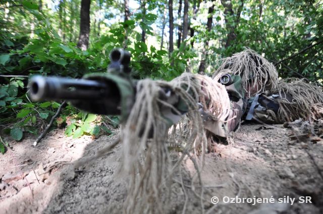 Začala operácia SLOVAK SHIELD 2015