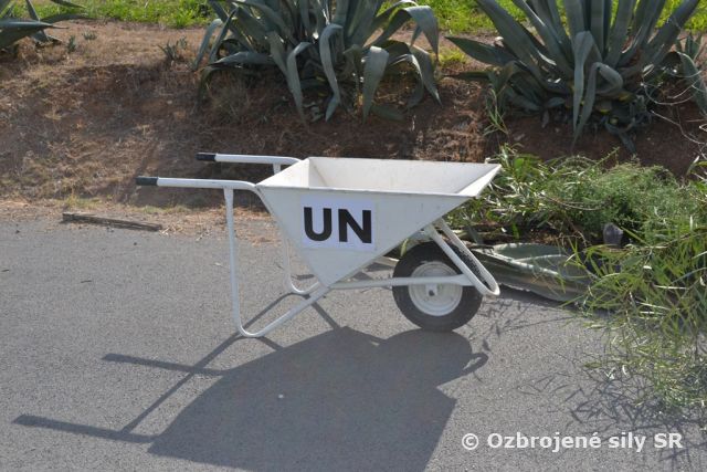 Prípravy na jeseň na Cypre