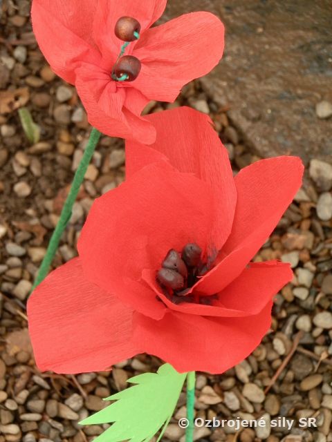 „Červené maky“  - Deň vojnových veteránov