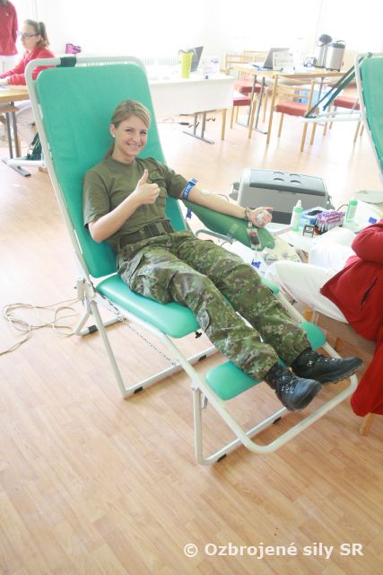 Trebišovský deň hrdinov