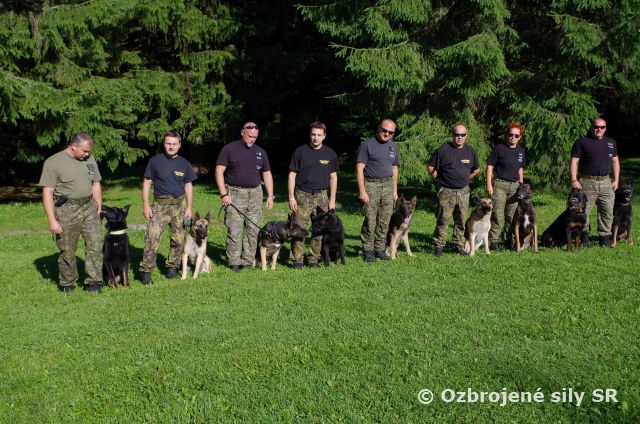 Spoločný výcvik psovodov zo Slovenska a Čiech pod Nízkymi Tatrami