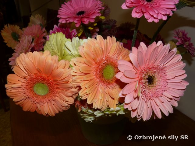 MDŽ na Úrade logistického zabezpečenia OS SR