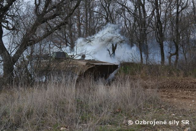 Príprava účelového zoskupenia PVO