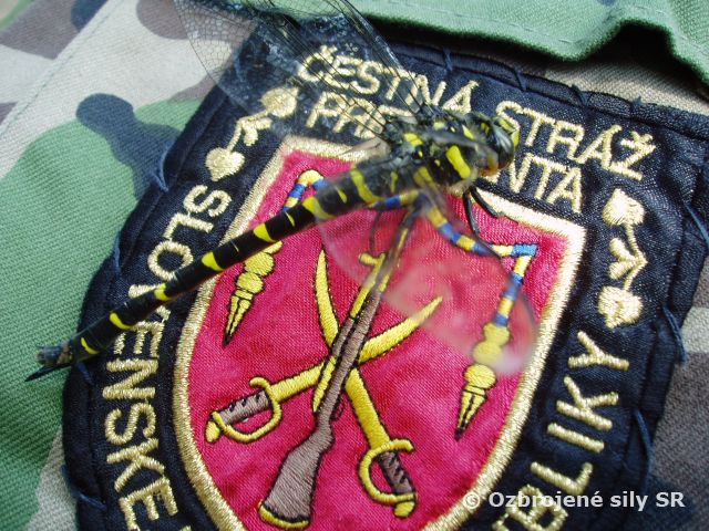 Výsledky výberu na dôstojnícku funkciu VKPSR-137-1/2017