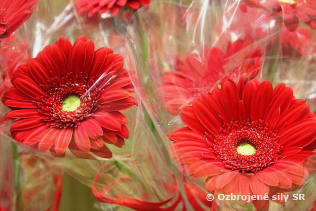 V Prešove si uctili ženy druhej mechanizovanej brigády