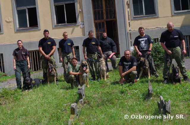 Psovodi zo Slovenska, Čiech a Maďarska cvičili pod Nízkymi Tatrami