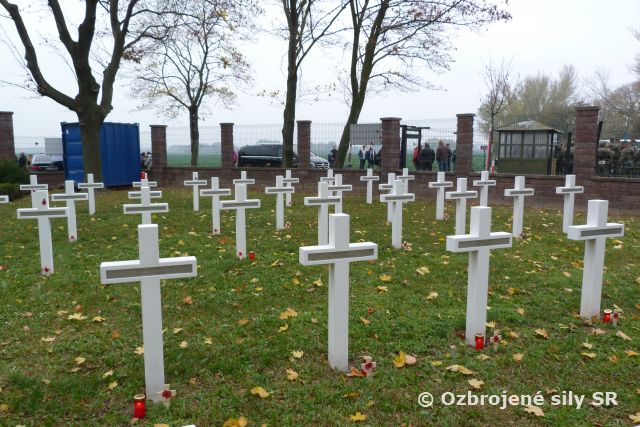 Červený mak - symbol vojnových veteránov