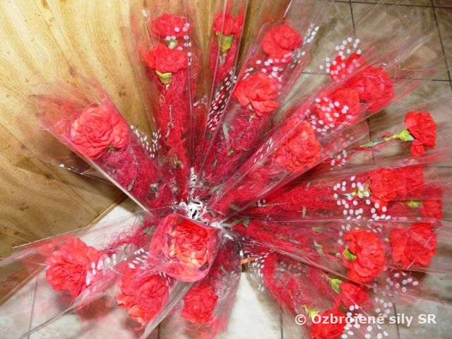 Medzinárodný deň žien